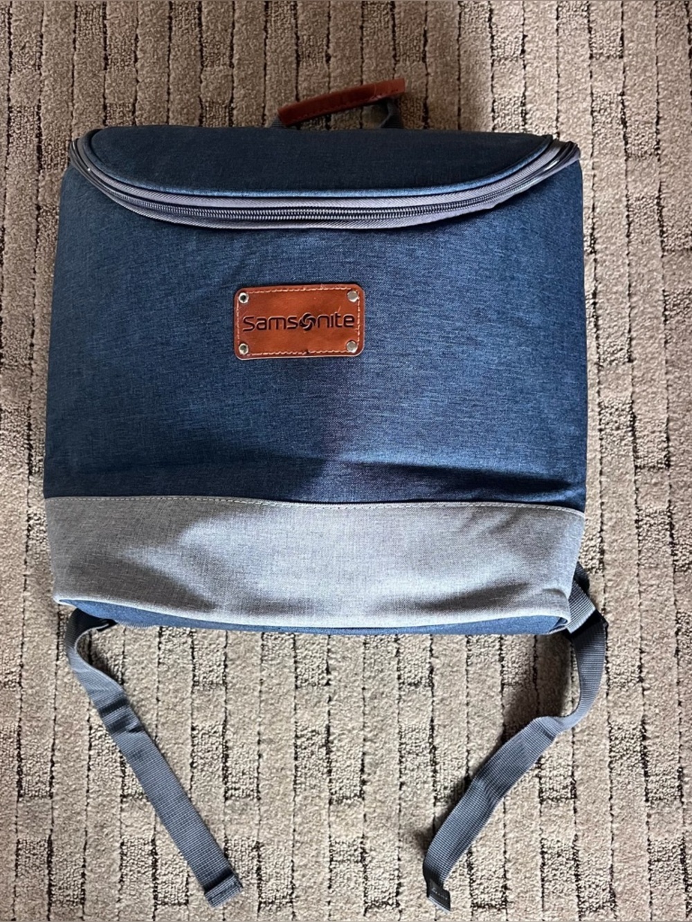 Samsonite Men's Two-Tone Blue Backpack Cooler